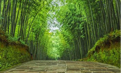 蜀南竹海_蜀南竹海旅游攻略