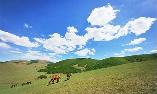 丰宁坝上草原在哪_丰宁坝上草原在哪个地方